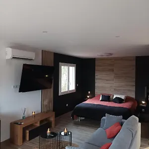 Loft Sauna Jacuzzi Ospariegeois Appartement Lavelanet